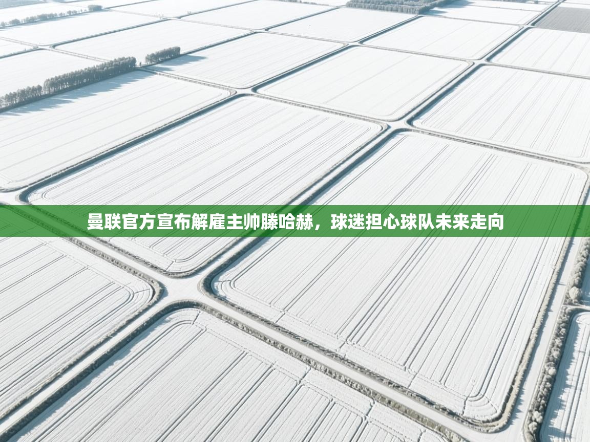 爱游戏体育入口app-曼联官方宣布解雇主帅滕哈赫，球迷担心球队未来走向  第1张