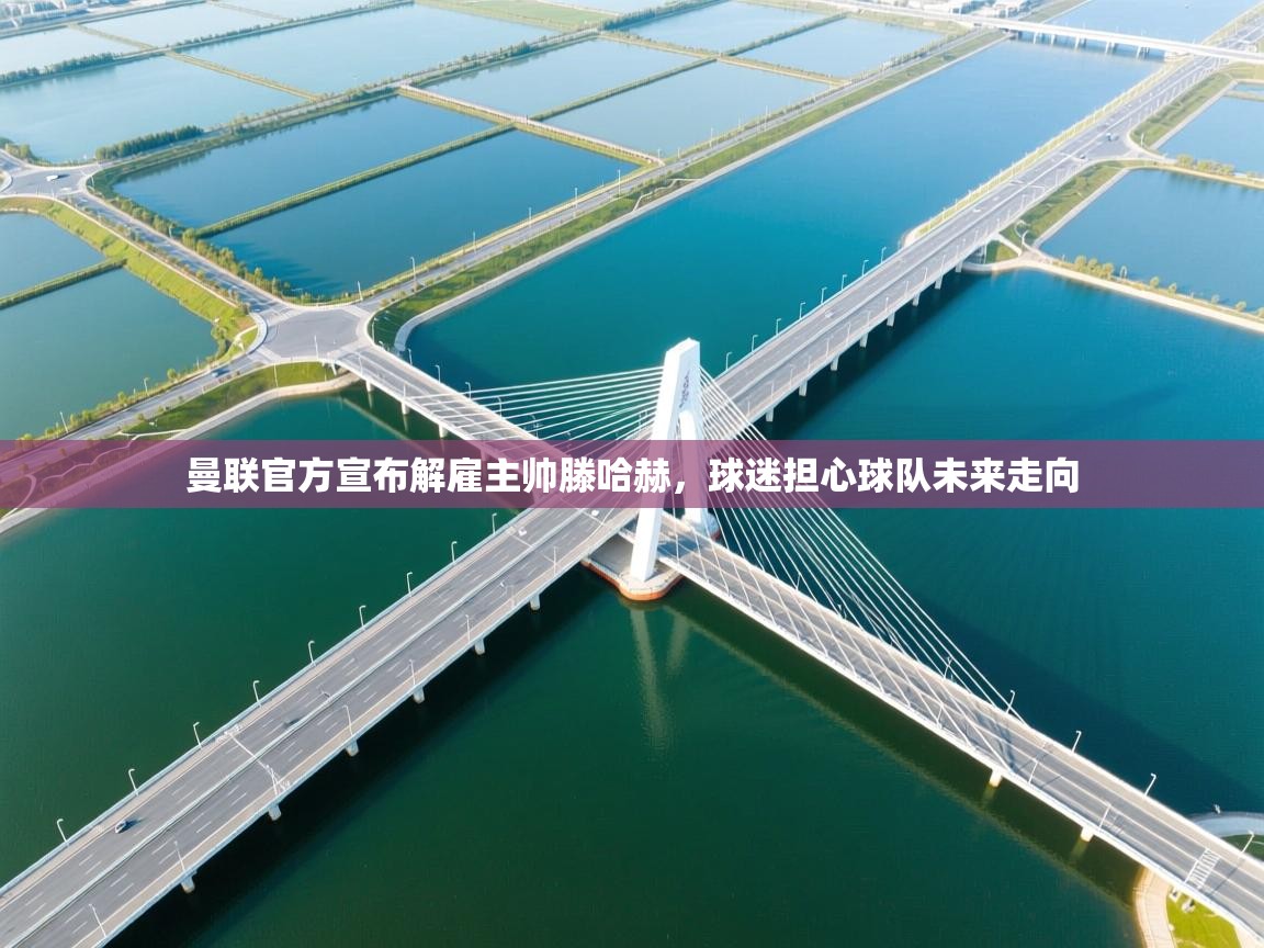 爱游戏体育入口app-曼联官方宣布解雇主帅滕哈赫，球迷担心球队未来走向  第3张