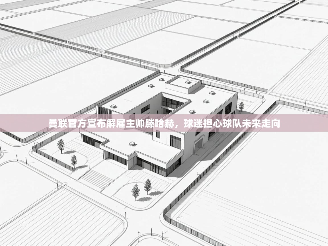 爱游戏体育入口app-曼联官方宣布解雇主帅滕哈赫，球迷担心球队未来走向  第4张